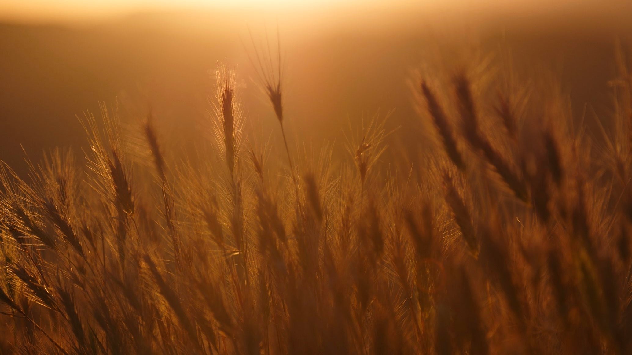 The Bernard Weatherill Getaway Guide: Our Top Three Picks