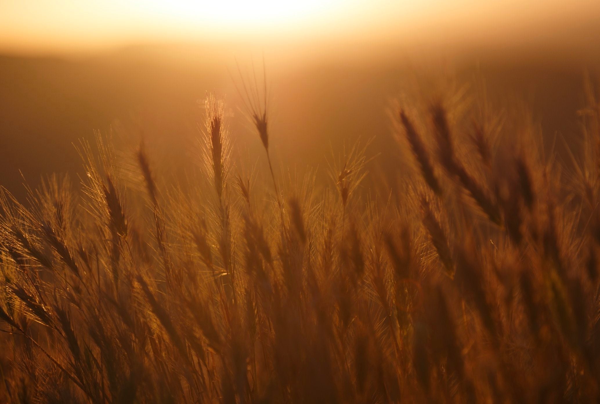 The Bernard Weatherill Getaway Guide: Our Top Three Picks